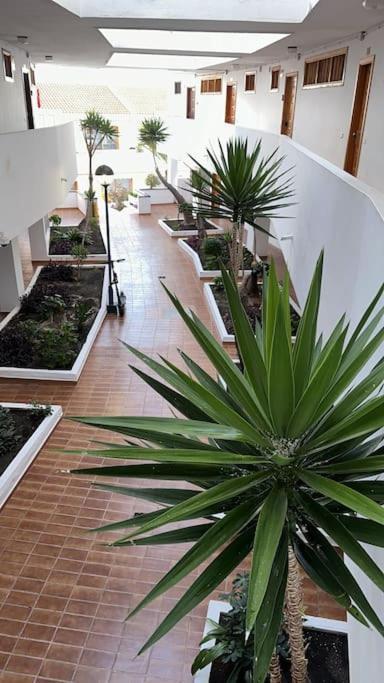 Ferienwohnung Modern,Strandnaehe, Club Olympus, Garten City Tenerife Плайя-Фаньябе Экстерьер фото